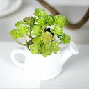 Ver mais imagens de Kit 12 Unidades de Suculenta Artificial Araucaria 13 Cm em Silicone