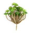 Ver imagem 1 de Kit 12 Unidades de Suculenta Artificial Araucaria 13 Cm em Silicone