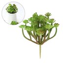 Ver imagem 6 de Kit 12 Unidades de Suculenta Artificial Araucaria 13 Cm em Silicone