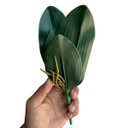 Ver imagem 4 de 1 Galho de Folha de Orquidea Premium em Silicone