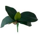Ver imagem 1 de 1 Galho de Folha de Orquidea Premium em Silicone