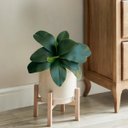 Ver imagem 2 de 1 Galho de Folha de Orquidea Premium em Silicone