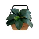 Ver imagem 7 de 1 Galho de Folha de Orquidea Premium em Silicone