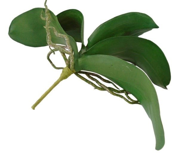 2 Galhos folhas de orquideas em silicone com toque realista - 3