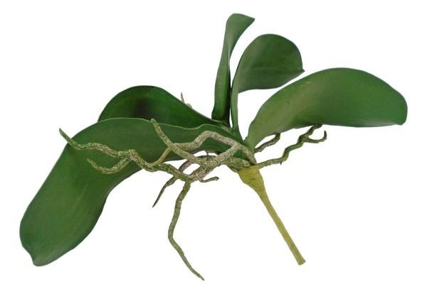 2 Galhos folhas de orquideas em silicone com toque realista - 2