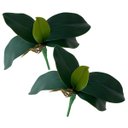 Ver imagem 1 de 2 Galhos Folhas de Orquideas em Silicone com Toque Realista