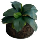Ver imagem 7 de 2 Galhos Folhas de Orquideas em Silicone com Toque Realista