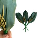 Ver imagem 4 de 3 Galhos de Folhas de Orquideas