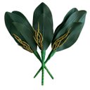 Ver imagem 1 de 3 Galhos de Folhas de Orquideas