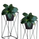 Ver imagem 7 de 3 Galhos de Folhas de Orquideas