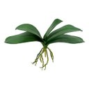 Ver imagem 4 de 4 plantas artificiais folha de orquidea parece com a natural