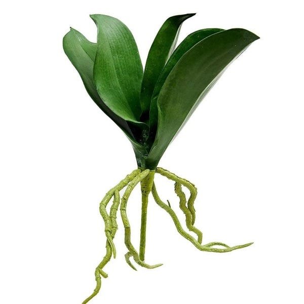 4 plantas artificiais folha de orquidea parece com a natural