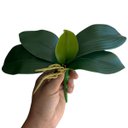Ver imagem 5 de 4 Plantas Artificiais Folha de Orquidea Parece com a Natural