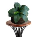 Ver mais imagens de 5 Galhos de Folhas de Orquidea de Silicone Produto Premium