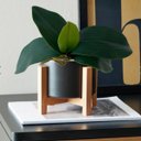 Ver imagem 2 de 5 Galhos de Folhas de Orquidea de Silicone Produto Premium