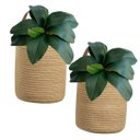 Ver imagem 7 de 5 Galhos de Folhas de Orquidea de Silicone Produto Premium