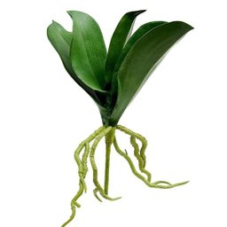 6 Galhos de folhas de orquidea de silicone produto premium - 1