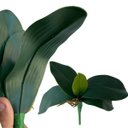 Ver imagem 6 de 6 Galhos de Folhas de Orquidea de Silicone Produto Premium