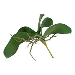 6 Galhos de folhas de orquidea de silicone produto premium - 2