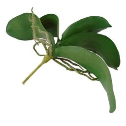 6 Galhos de folhas de orquidea de silicone produto premium - 3