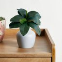 Ver imagem 5 de 8 Galhos de Folhas de Orquideas Parecida com a Natural