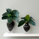 Ver imagem 1 de 8 Galhos de Folhas de Orquideas Parecida com a Natural