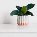 Ver imagem 6 de 8 Galhos de Folhas de Orquideas Parecida com a Natural