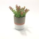 Ver mais imagens de Kit 12 Plantas Artificiais Mini Suculentas Sedum para Enfeites