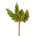 Ver imagem 5 de Kit 12 Plantas Artificiais Mini Suculentas Sedum para Enfeites