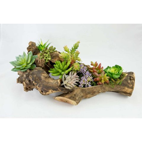 Kit 4 Peças de Suculentas Artificiais para Decoração em Silicone