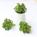 Ver mais imagens de Kit 4 Peças de Suculentas Artificiais para Decoração em Silicone