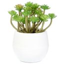 Ver imagem 7 de Kit 4 Peças de Suculentas Artificiais para Decoração em Silicone