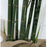 Arvore Planta Bamboo 10 Galhos Folhagem Real 3d 1.8mt Premium - 4