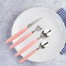 Jogo de Talheres Inox 25 Peças Faqueiro Linha Caprese Com Porta Talher Rosa Fratelli - 8