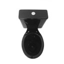 Ver imagem 2 de Bacia Com Caixa Acoplada Ecoflush Saveiro Preto Celite