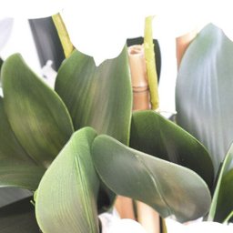 Flores artificiais Arranjo de Orquídeas Brancas Artificial no Vaso Prata |Linha permanente - 4