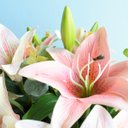 Ver imagem 2 de Flores artificiais Arranjo de Lírio Rosa no Vaso Rose Gold|Linha permanente Formosinha