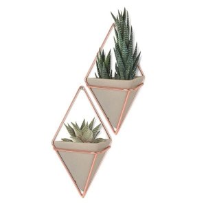 Trigg - Conjunto com 2 vasinhos de parede Concreto/Cobre - Umbra