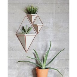 Trigg - Conjunto com 2 vasinhos de parede Concreto/Cobre - Umbra - 4