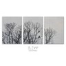 Conjunto de 3 Quadros Decorativos Galhos e Pássaros:60x90 - 2