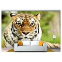 Ver imagem 1 de Papel De Parede Animais Tigre Floresta 3D Anm120