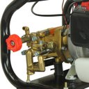 Ver imagem 6 de Pulverizador Estacionário Agrícola Gasolina 25,4cc 2 Tempos Mangueira 10m