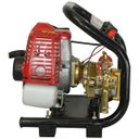 Ver imagem 7 de Pulverizador Estacionário Agrícola Gasolina 25,4cc 2 Tempos Mangueira 10m