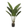 Bananeira de Jardim X8 Verde Árvore Permanente 1,2m com Pote - 2