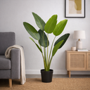 Ver imagem 1 de Bananeira de Jardim X8 Verde Árvore Permanente 1,2m com Pote