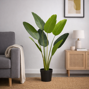 Bananeira de Jardim X8 Verde Árvore Permanente 1,2m com Pote