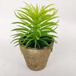 Planta Suculenta com vaso Artificial Permanente 14cm IN5367 - 3