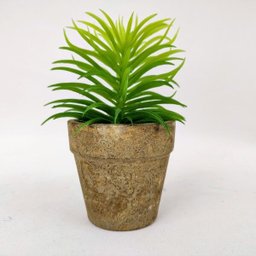 Planta Suculenta com vaso Artificial Permanente 14cm IN5367 - 2