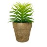 Planta Suculenta com vaso Artificial Permanente 14cm IN5367 - 1