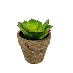 Planta Suculenta com vaso Artificial Permanente 10cm IN5368 - 1